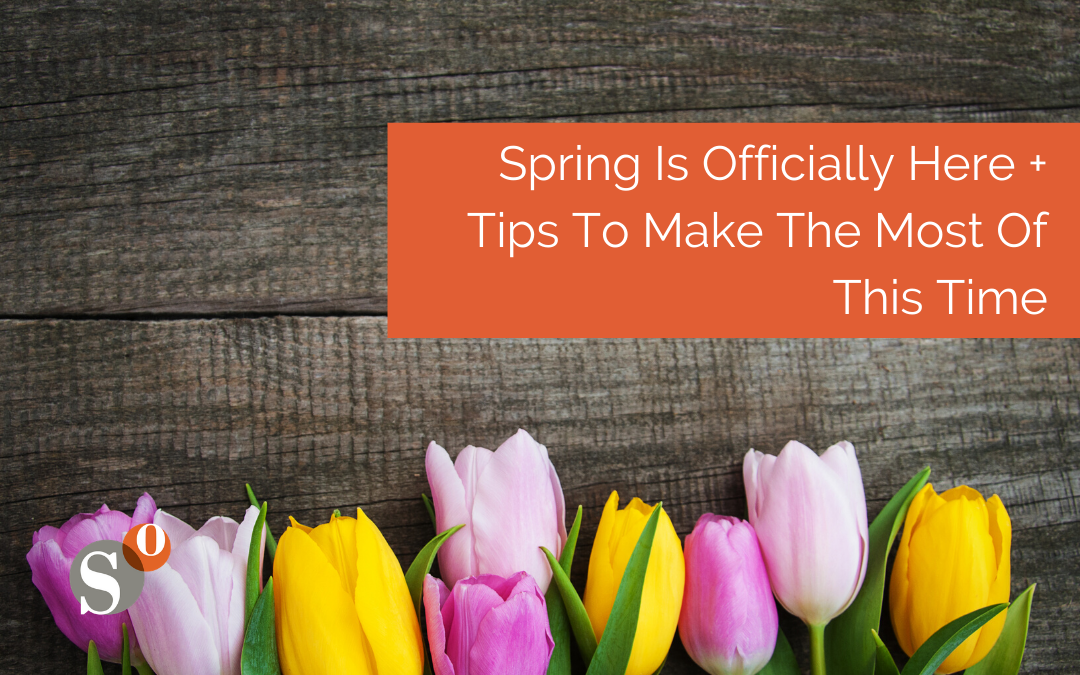 Spring Is Officially Here + Tips To Make The Most Of This Time